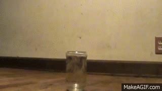 1 guy 1 jar gif